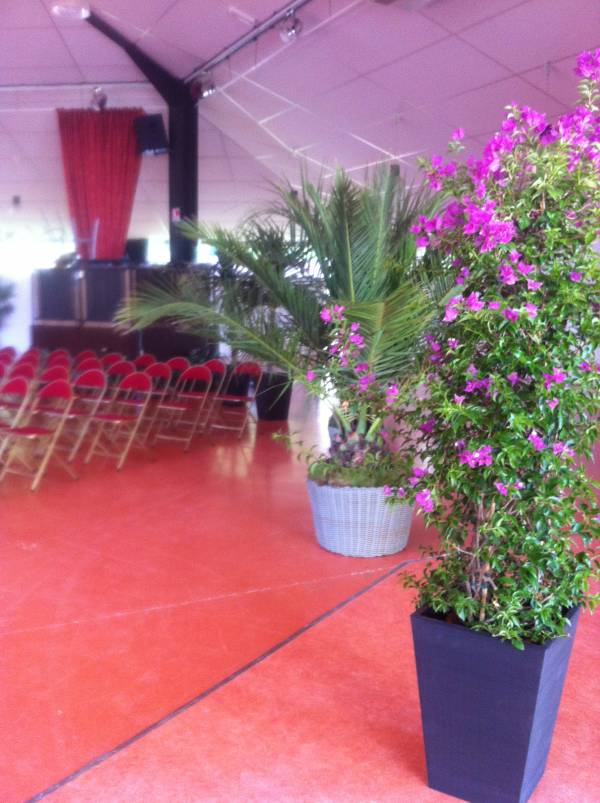 location de plantes et bacs décoratifs  pour évènements, salons, seminaire, soirées, gala, aix en provence marseille avignon et  PACA
