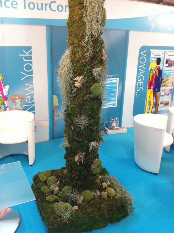 Mur de plantes éphémères pour salon exposition Avignon