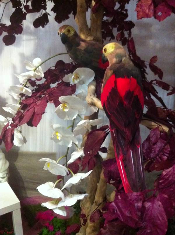 décoration de stand pour salon du mariage de Vitrolles et Salon du mariage de Salon de Provence