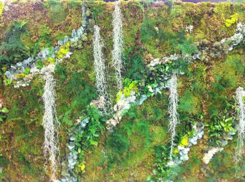 Location de murs de végétaux éphémères pour vos salons, expositions, foires, sur  Aix en provence