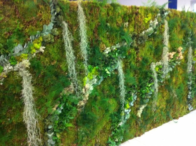 Location de murs de végétaux éphémères pour vos salons, expositions, foires, sur  Aix en provence