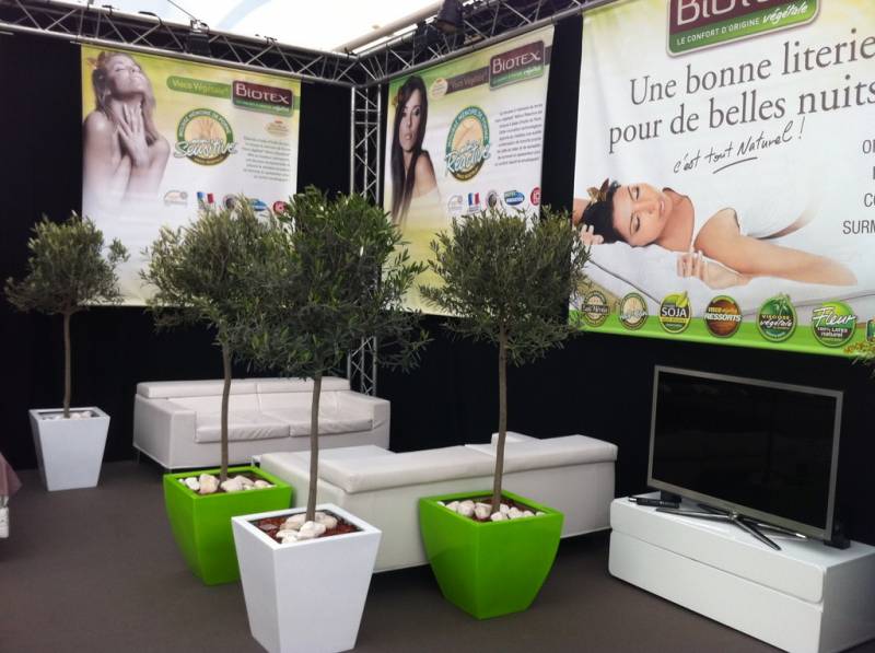 plantes en location pour stand et exposition sur Marseille Toulon Avignon
