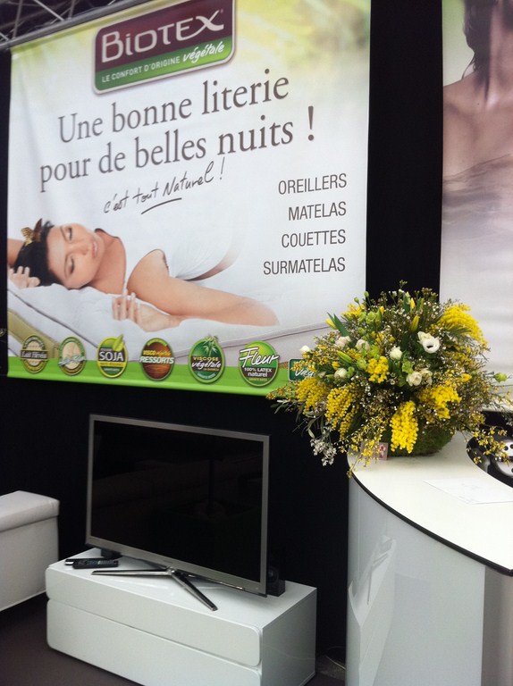 plantes en location pour stand et exposition sur Marseille Toulon Avignon