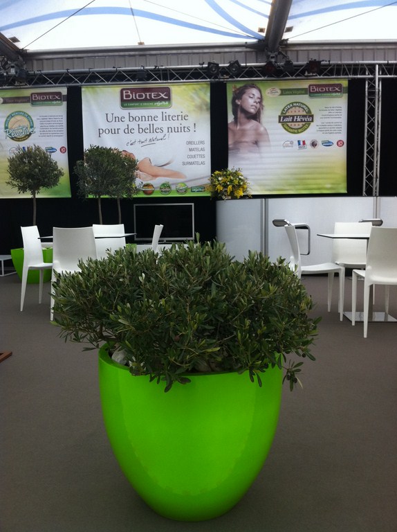 plantes en location pour stand et exposition sur Marseille Toulon Avignon
