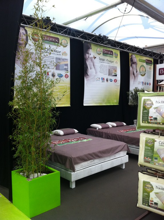 plantes en location pour stand et exposition sur Marseille Toulon Avignon