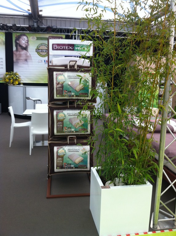 plantes en location pour stand et exposition sur Marseille Toulon Avignon