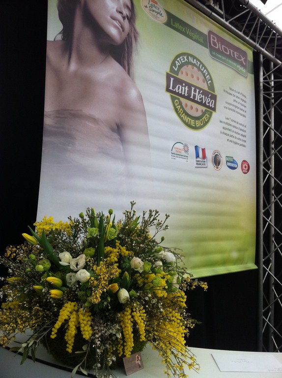 plantes en location pour stand et exposition sur Marseille Toulon Avignon