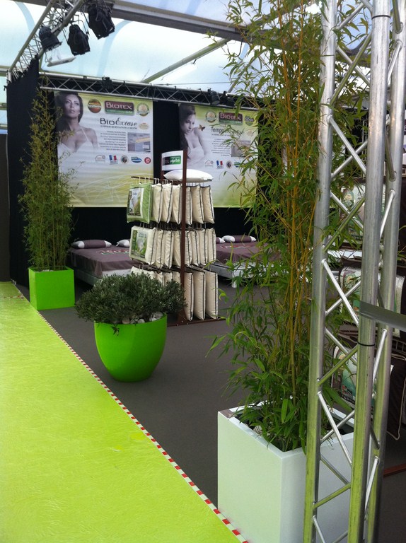 plantes en location pour stand et exposition sur Marseille Toulon Avignon