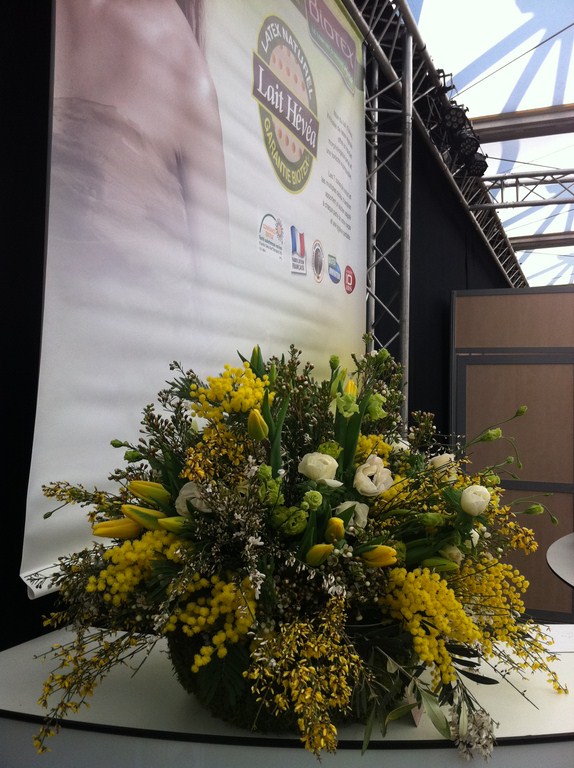 plantes en location pour stand et exposition sur Marseille Toulon Avignon