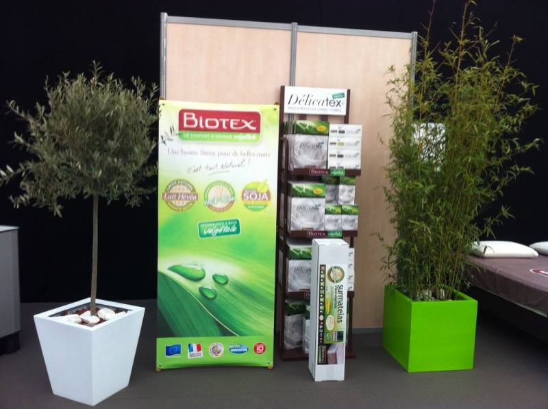 plantes en location pour stand et exposition sur Marseille Toulon Avignon