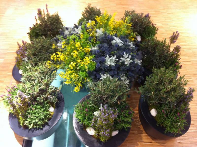 création végétale et florale à la location Avignon