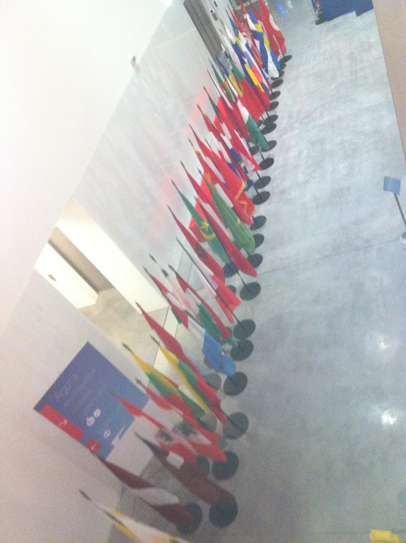 création végétale et florale à la location Avignon