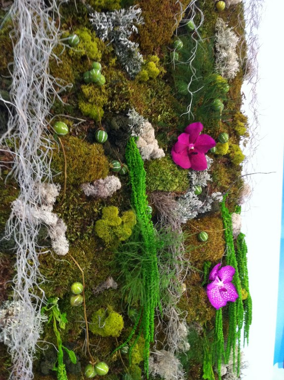 Murs de plantes à la location pour salon, exposition, foire sur Marseille