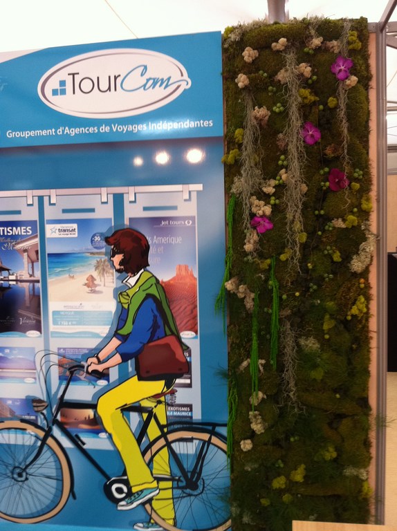 Joli petit pan de mur de fleurs et de mousses vertes pour ce salon à Avignon.