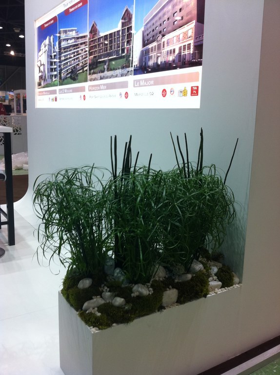 Décoration florale et végétale pour stand exposition pour salon à Marseille,