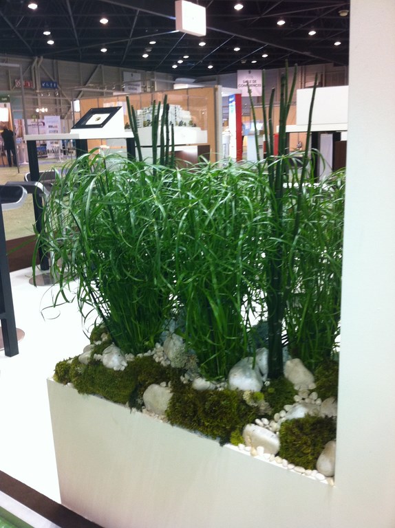 Décoration florale et végétale pour stand exposition pour salon à Marseille,