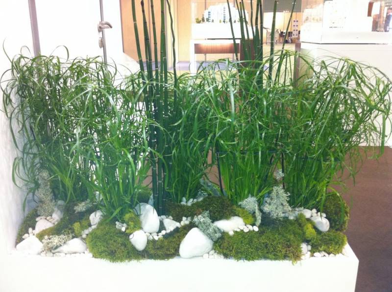 Décoration florale et végétale pour stand exposition pour salon à Marseille,