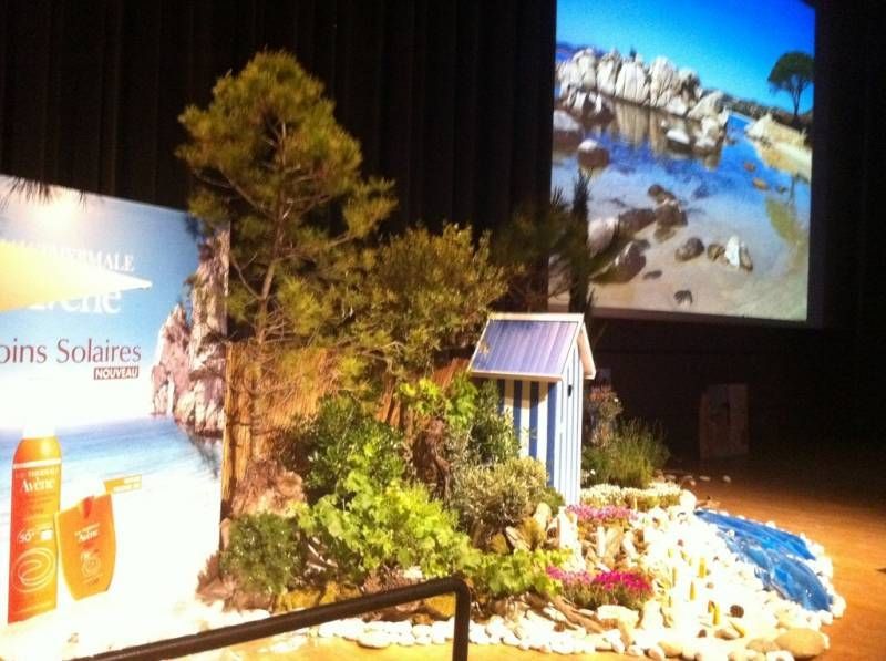 Plantes méditerranéennes à la location pour décor événement Montpellier