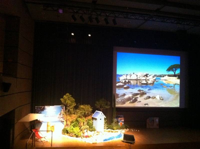 Plantes méditerranéennes à la location pour décor événement Montpellier
