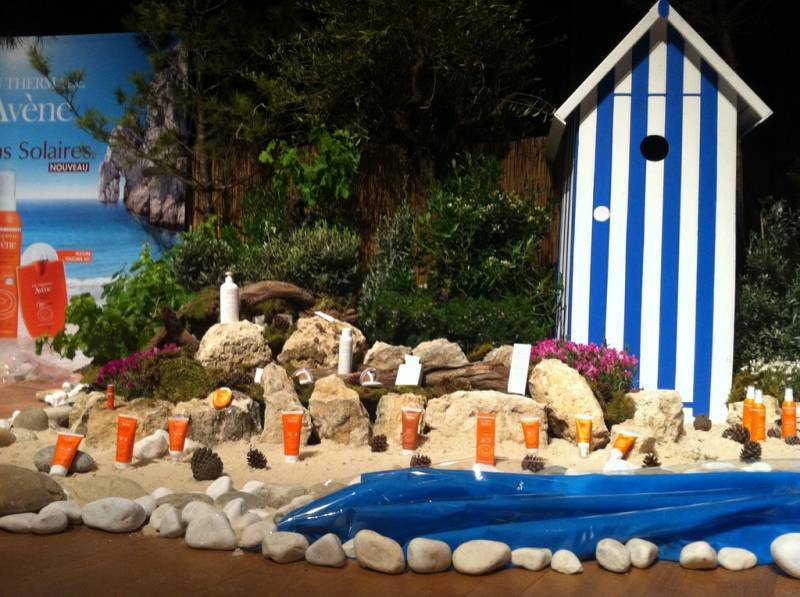 Plantes méditerranéennes à la location pour décor événement Montpellier