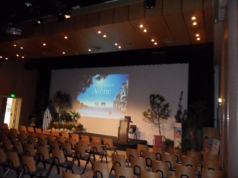 Conception de décor de plantes méditerranéennes en location Marseille