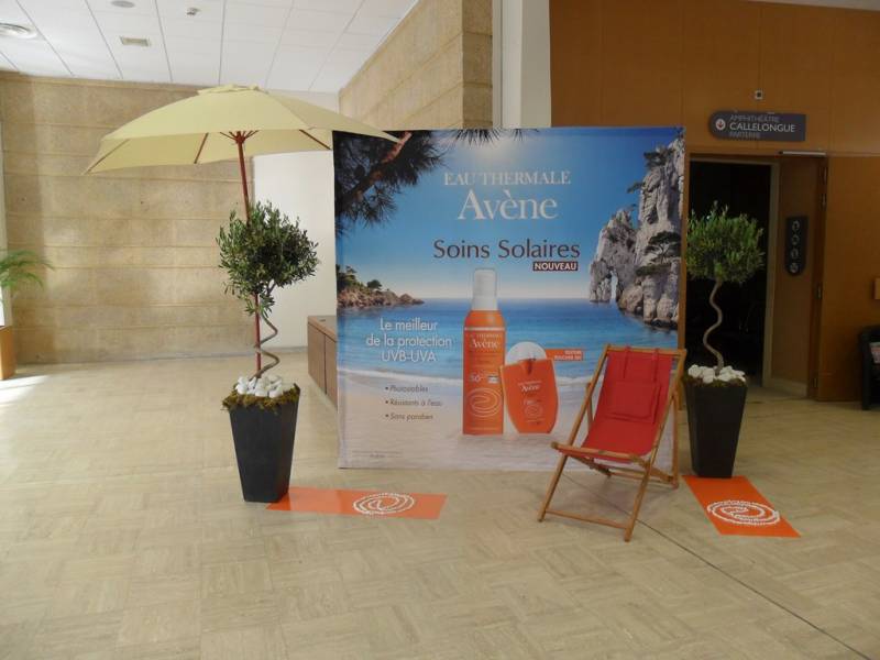 Conception de décor de plantes méditerranéennes en location Marseille