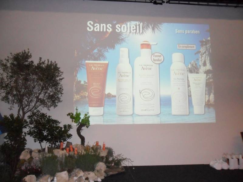 Conception de décor de plantes méditerranéennes en location Marseille