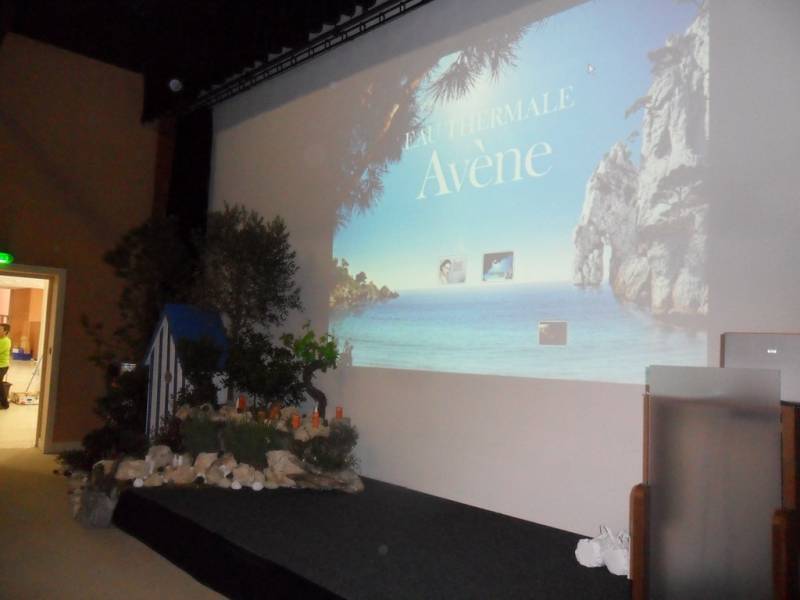 Conception de décor de plantes méditerranéennes en location Marseille