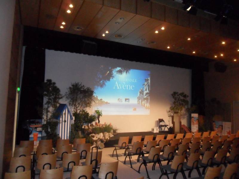 Conception de décor de plantes méditerranéennes en location Marseille