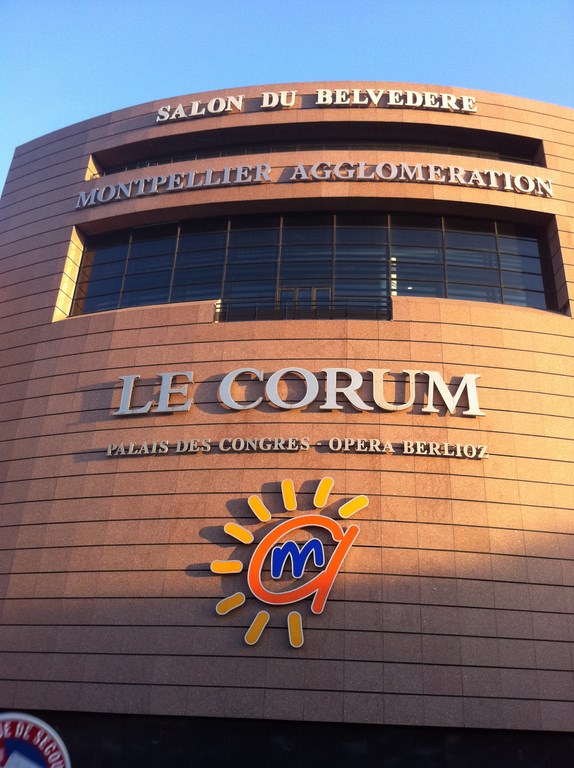 Plantes méditerranéennes à la location pour décor événement Montpellier