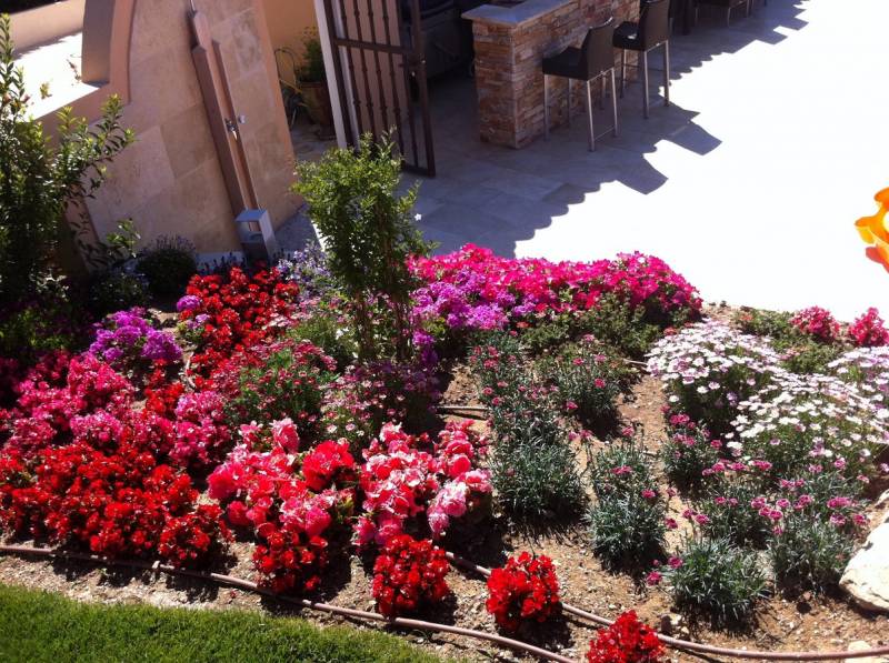 Conception réalisation de massifs de plantes fleuries jardin La Ciosta