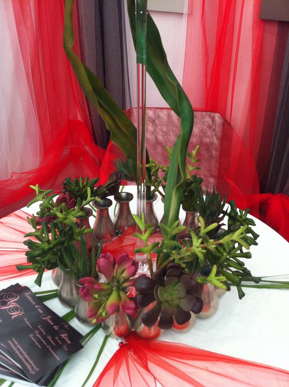 location de décor floral pour salon du mariage, Salon de Provence