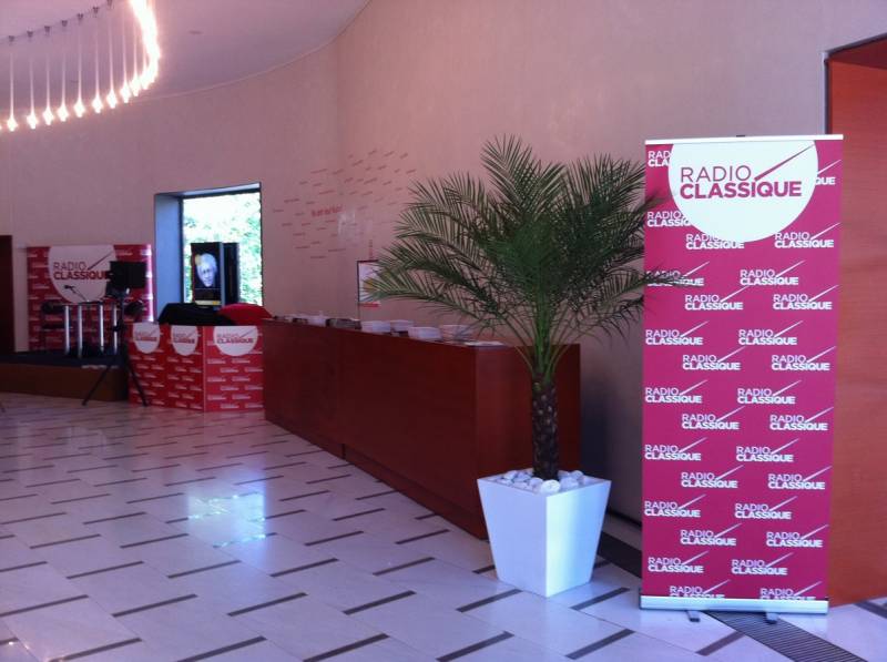 phoenix en location avec pots décoratifs Marseille Aix en Provence