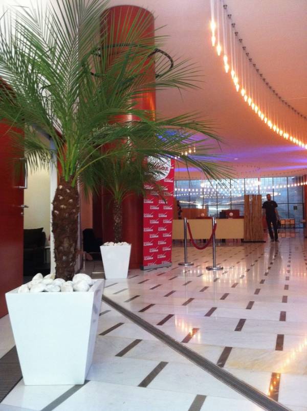 phoenix en location avec pots décoratifs Marseille Aix en Provence