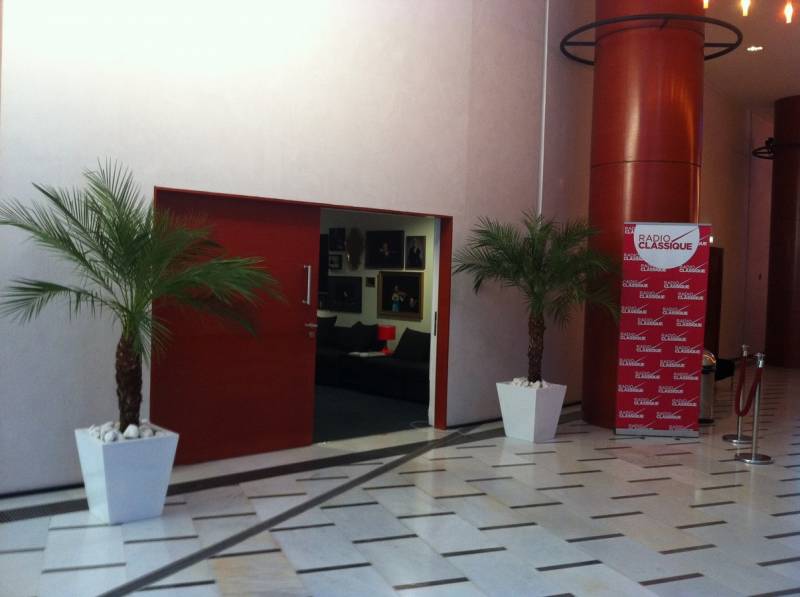 phoenix en location avec pots décoratifs Marseille Aix en Provence