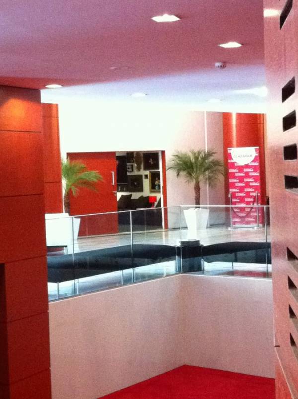 phoenix en location avec pots décoratifs Marseille Aix en Provence