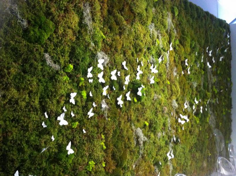 Mur végétal éphémère pour événement Marseille Cannes