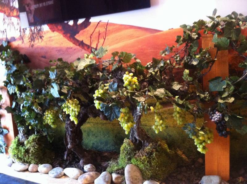 Ceps de vignes et raisins artificiels pour mise en scène à la location pour salon exposition en paca