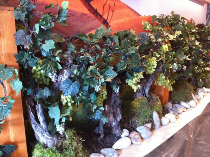 Ceps de vignes et raisins artificiels pour mise en scène à la location pour salon exposition en paca