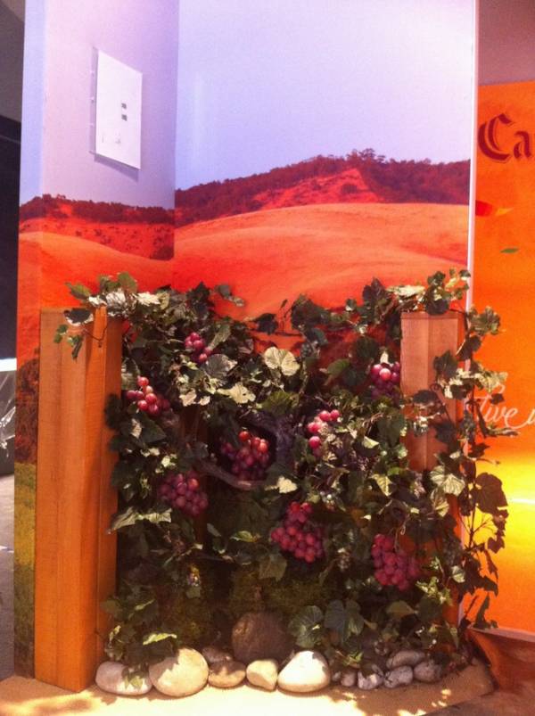 Ceps de vignes et raisins artificiels pour mise en scène à la location pour salon exposition en paca