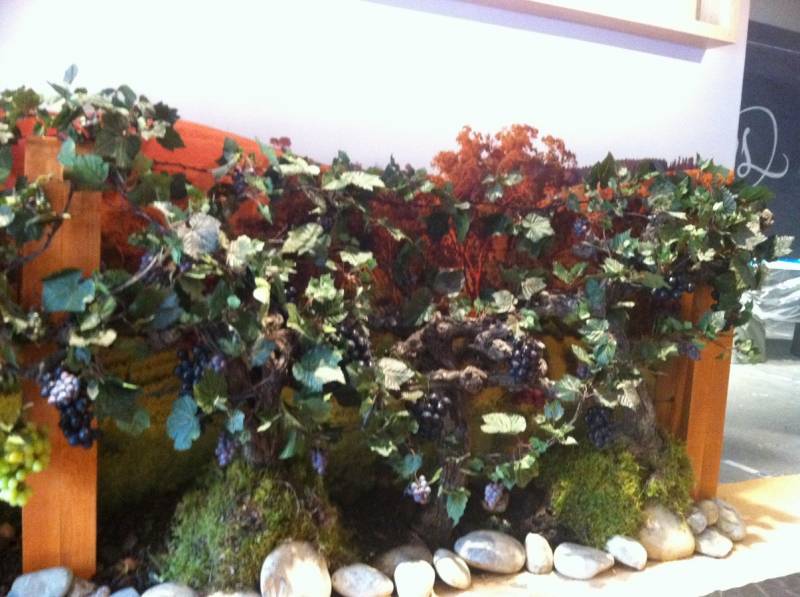 Ceps de vignes et raisins artificiels pour mise en scène à la location pour salon exposition en paca