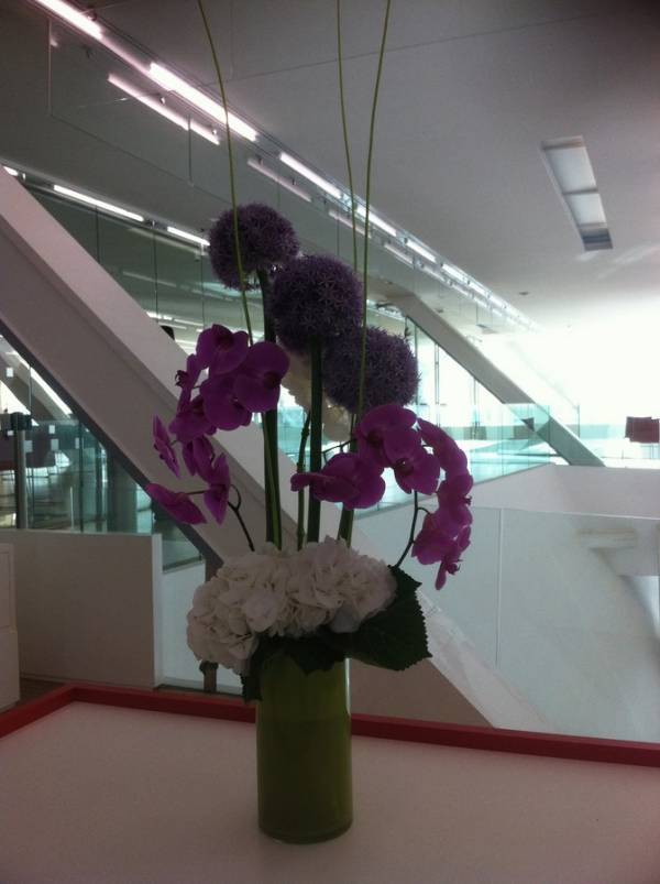 Location plantes et décorations florales de salles réceptions événements Marseille