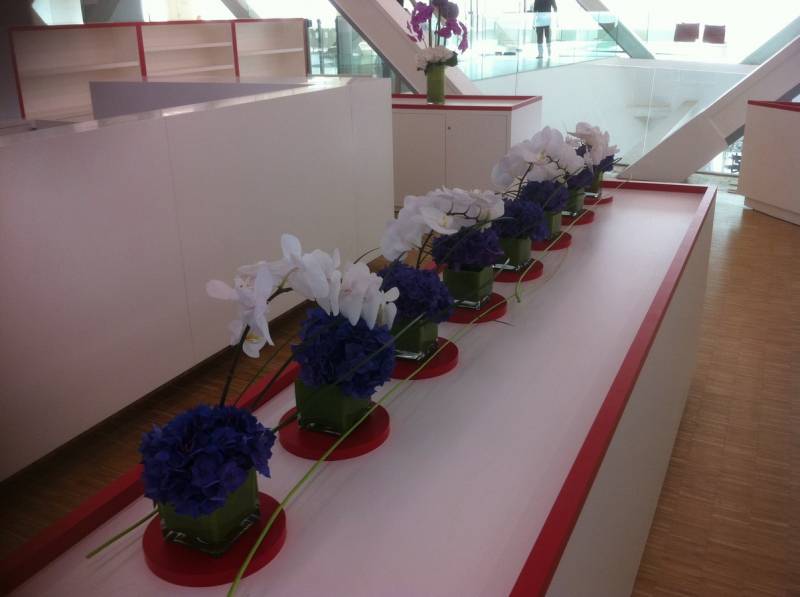 Location plantes et décorations florales de salles réceptions événements Marseille