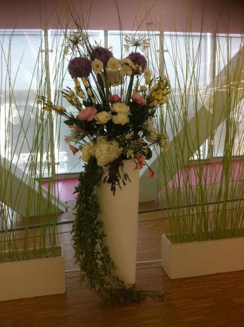 Location plantes et décorations florales de salles réceptions événements Marseille