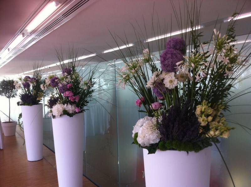 Location plantes et décorations florales de salles réceptions événements Marseille