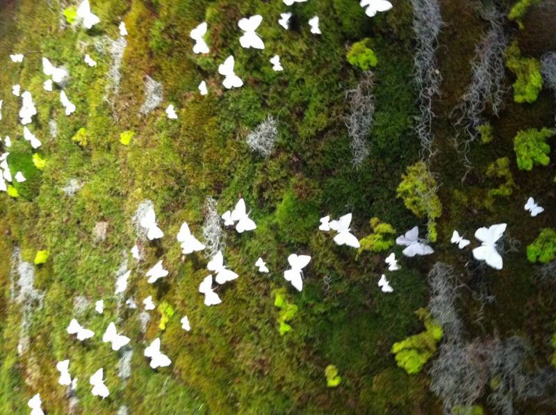 Mur végétal thème champêtre pour Perrier Jouët à l occasion du salon Pernod Ricard aux Embiez