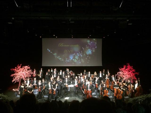 location de décoration florale en fleurs naturelles sur arbre pour scène et spectacle Marseille Toulon Aix en Provence