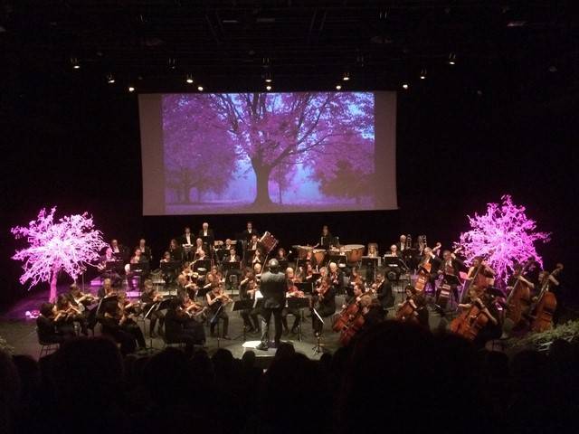 location de décoration florale en fleurs naturelles sur arbre pour scène et spectacle Marseille Toulon Aix en Provence