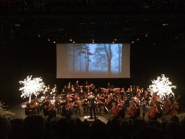 location de décoration florale en fleurs naturelles sur arbre pour scène et spectacle Marseille Toulon Aix en Provence