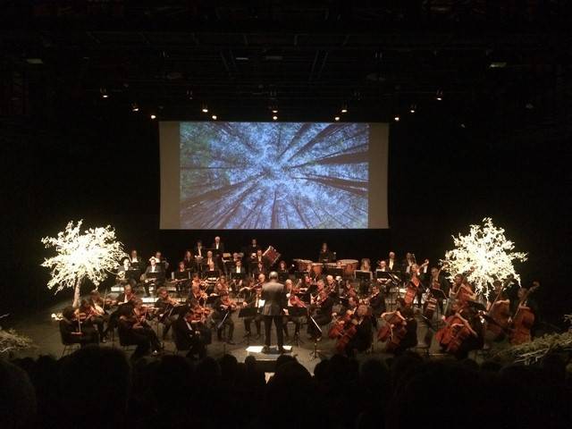 location de décoration florale en fleurs naturelles sur arbre pour scène et spectacle Marseille Toulon Aix en Provence